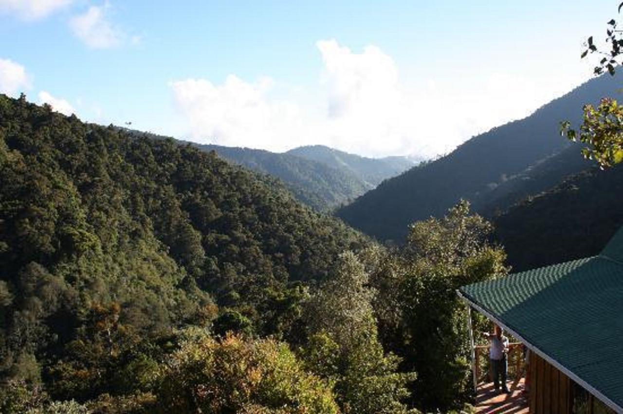 Quetzal Valley